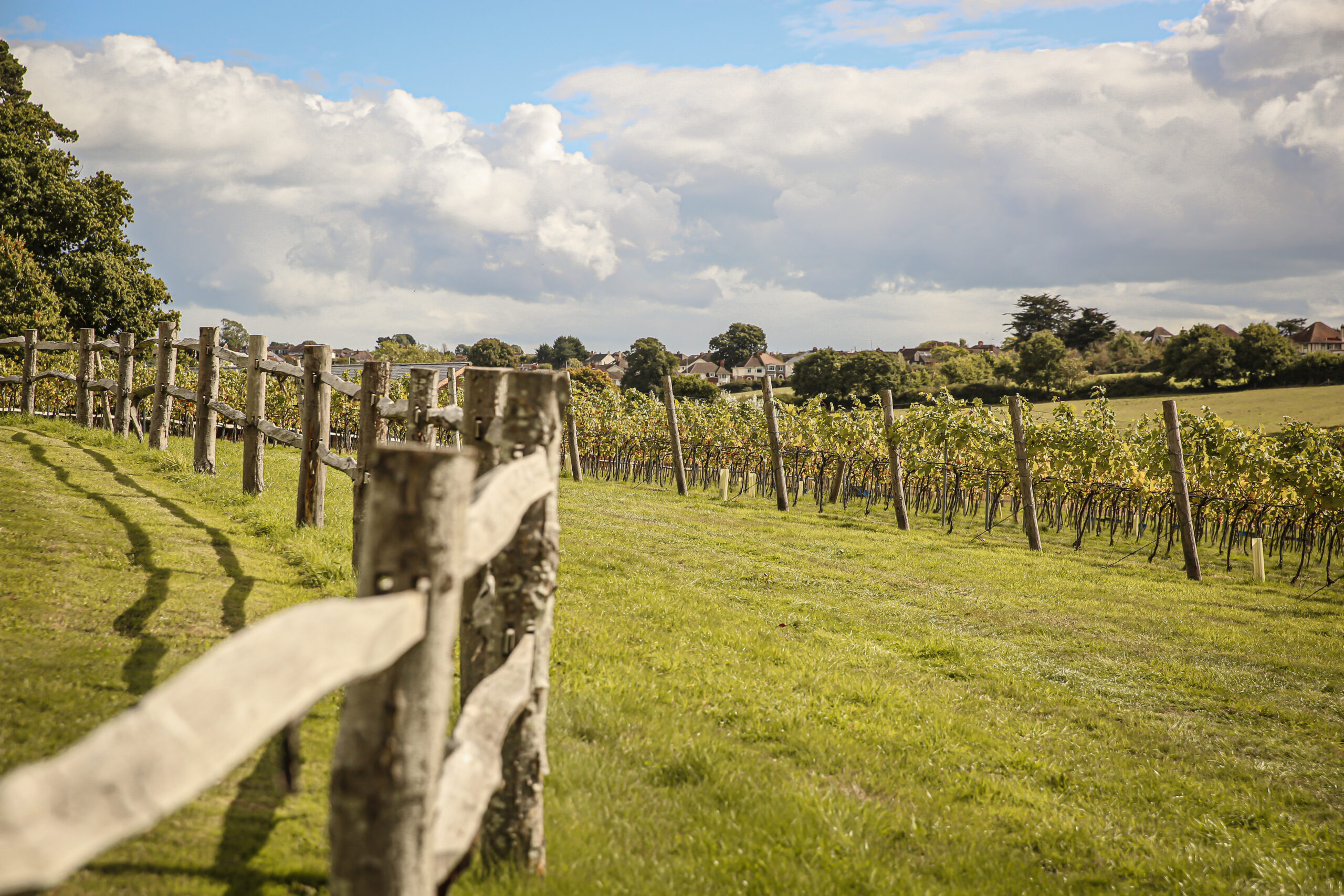 Vineyard tour and lunch at Lympstone Manor.