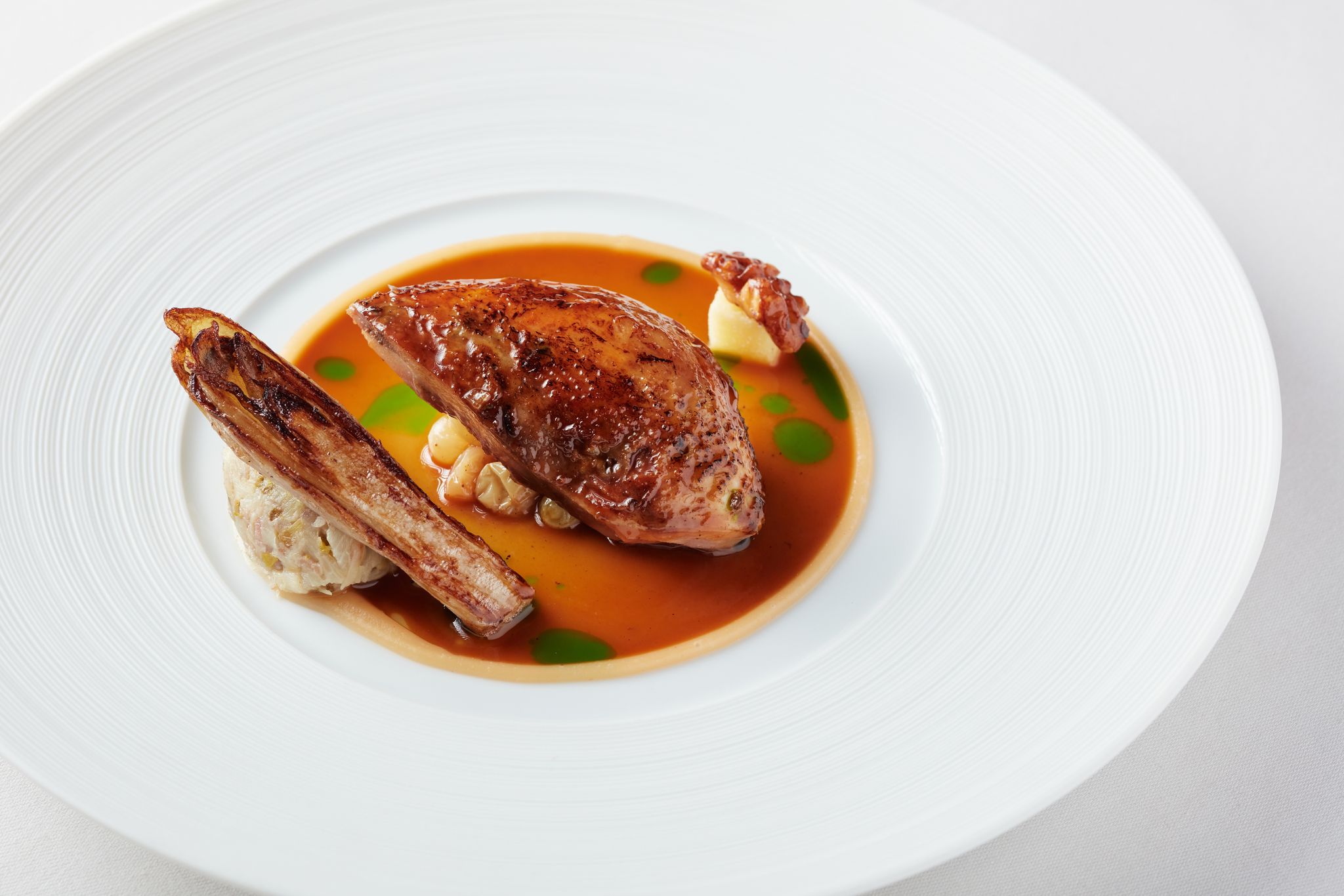 Fine dining food image with slow cooked partridge with chicory on a white plate.