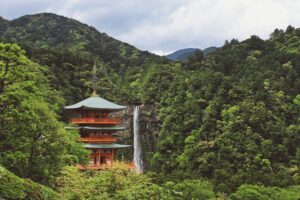 Japanese Wine Dinner - scene showing a Japanese temple in a forest