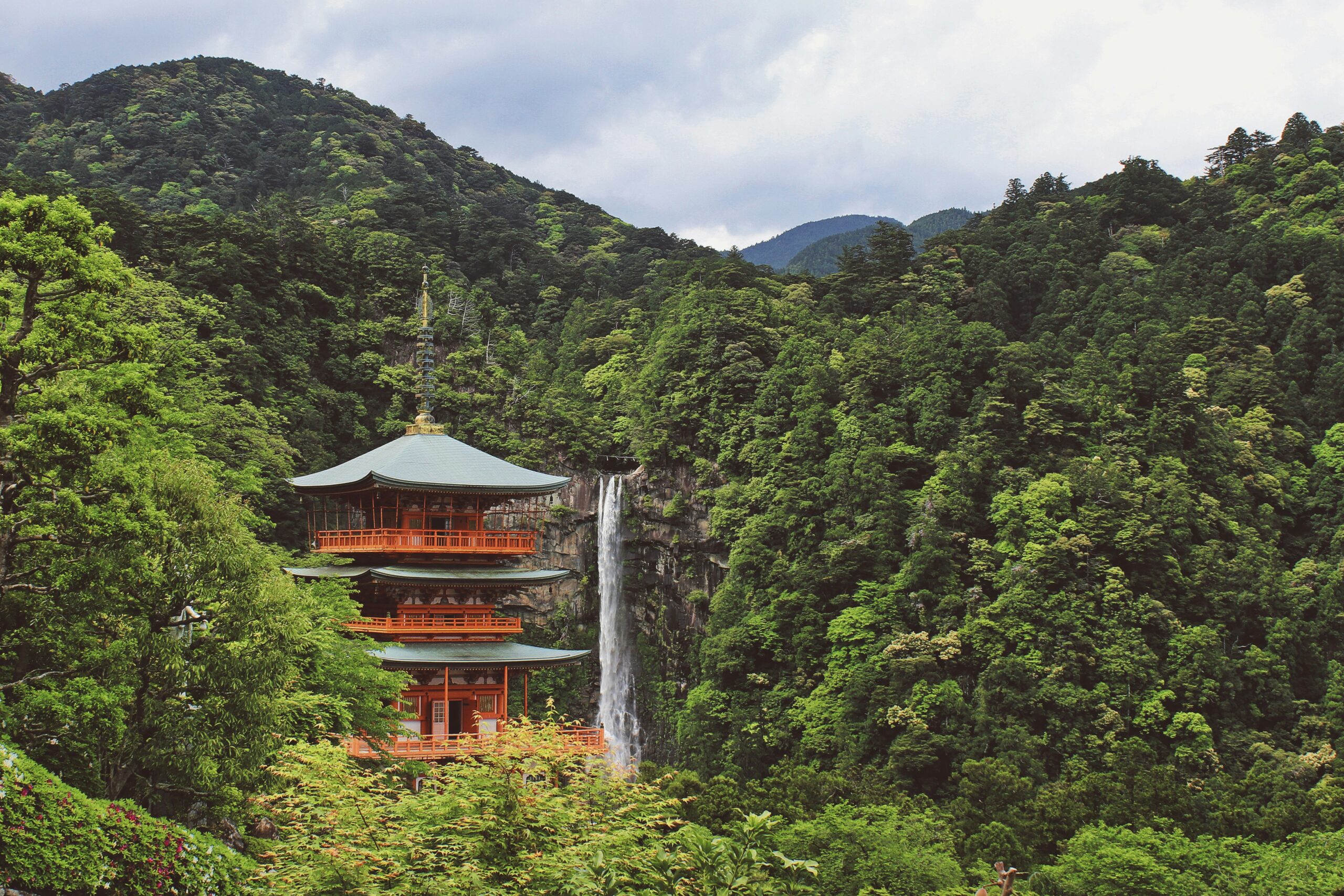 Japanese Wine Dinner - scene showing a Japanese temple in a forest