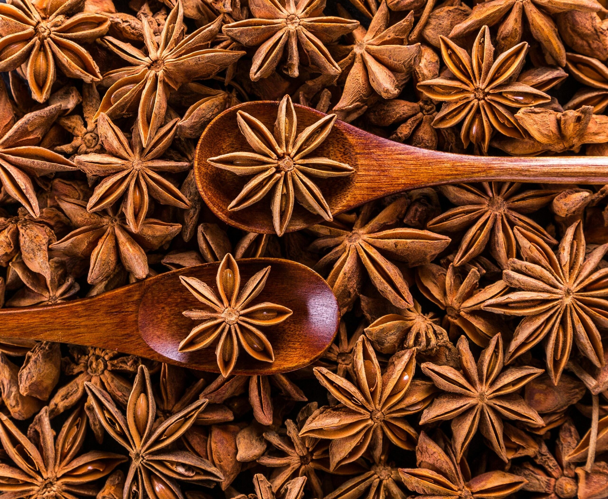 Star Anise spices