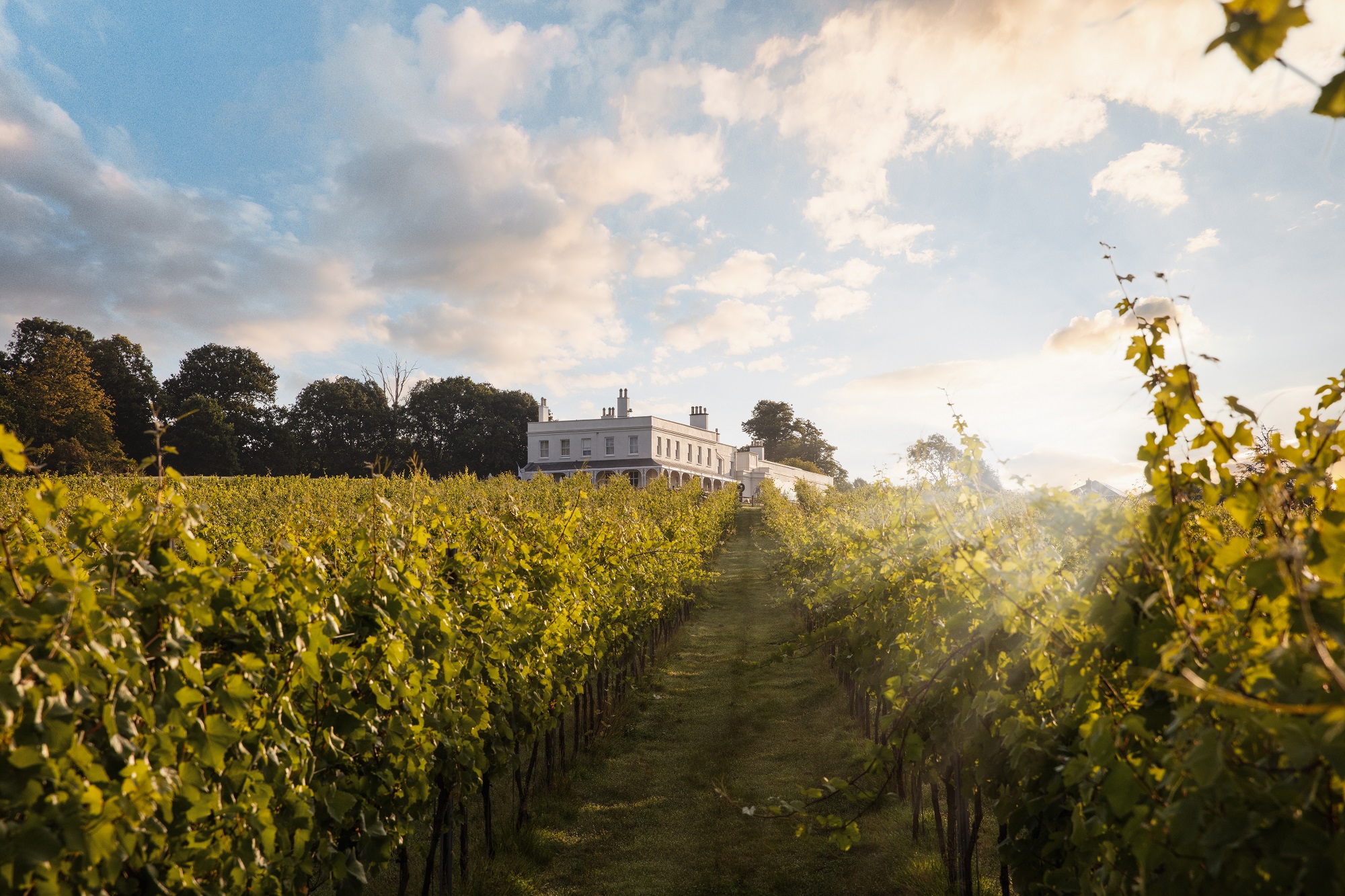 Lympstone Manor House and Vineyard with sun rising behind