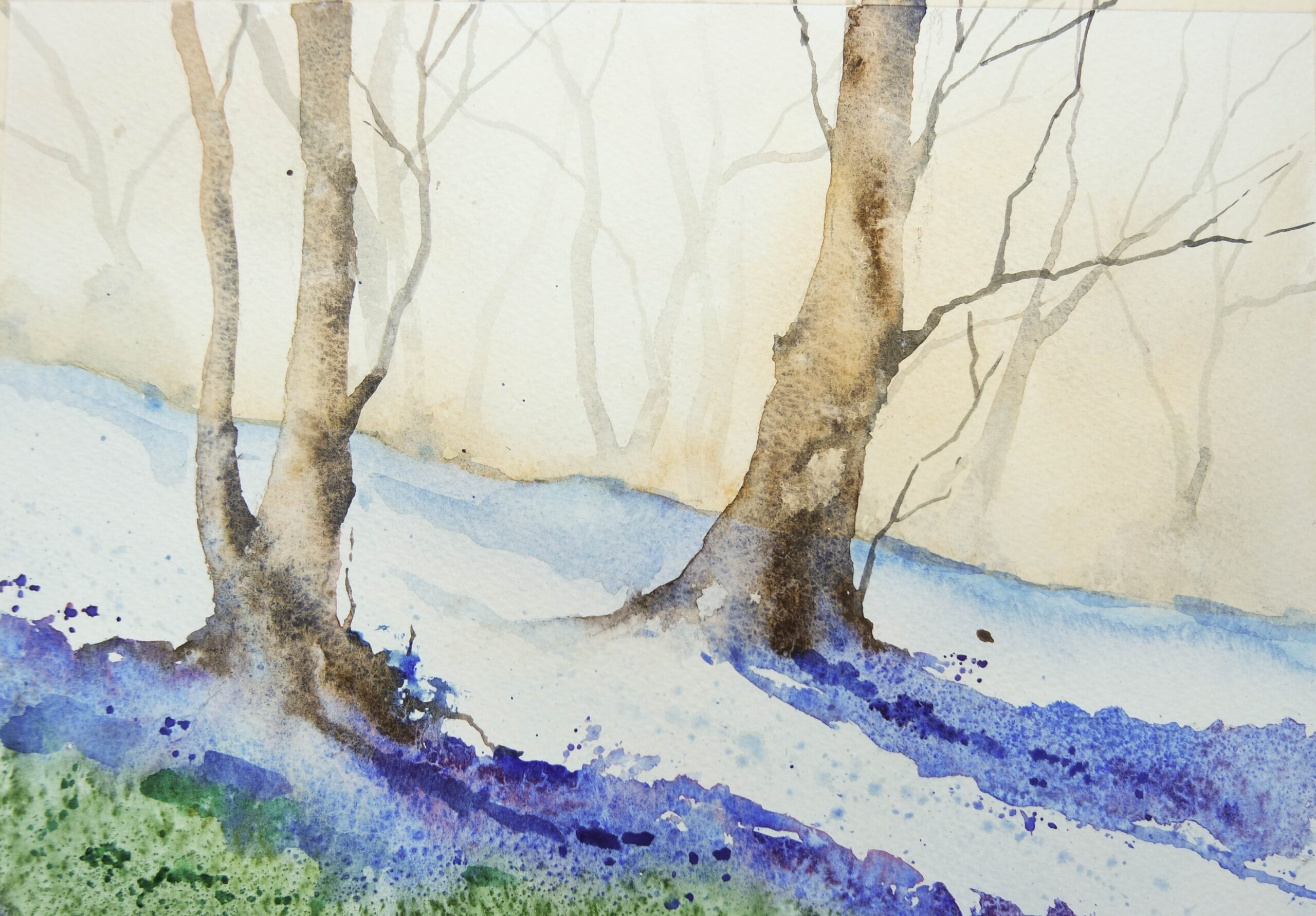 Watercolour painting of bluebells in woodland