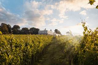 View of Lympstone Manor Hotel and the vineyard