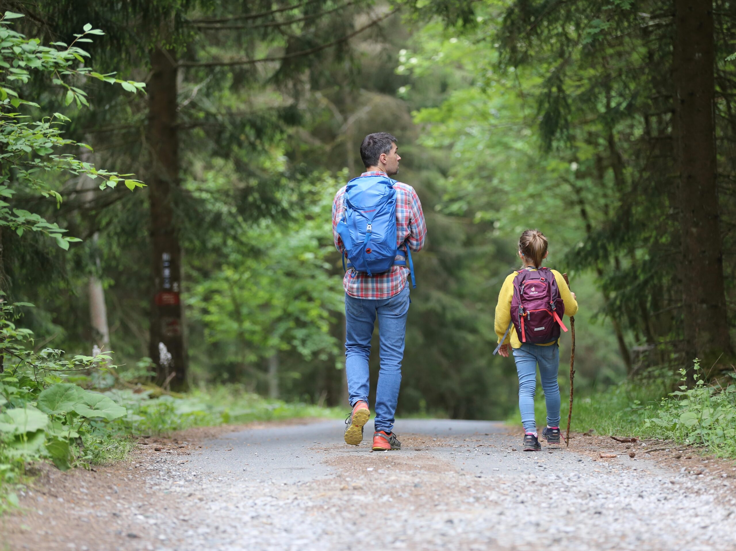 Adult and child walking in forest with backpacks and walking boots.