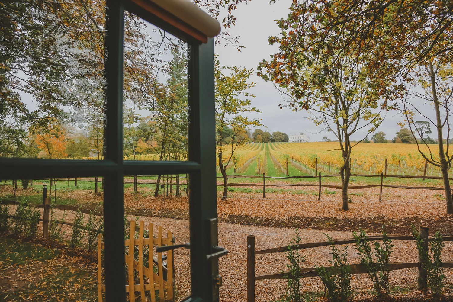 Autumnal view of the vineyard from a Shepherd Hut