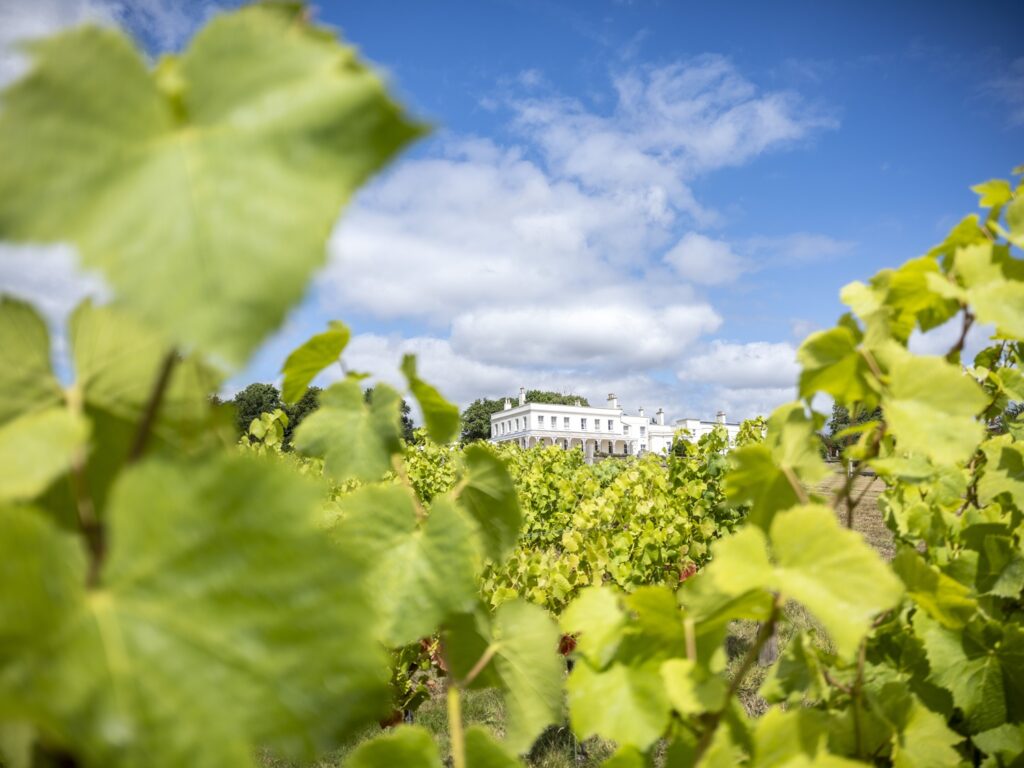 View of Lympstone Manor from the vineyard