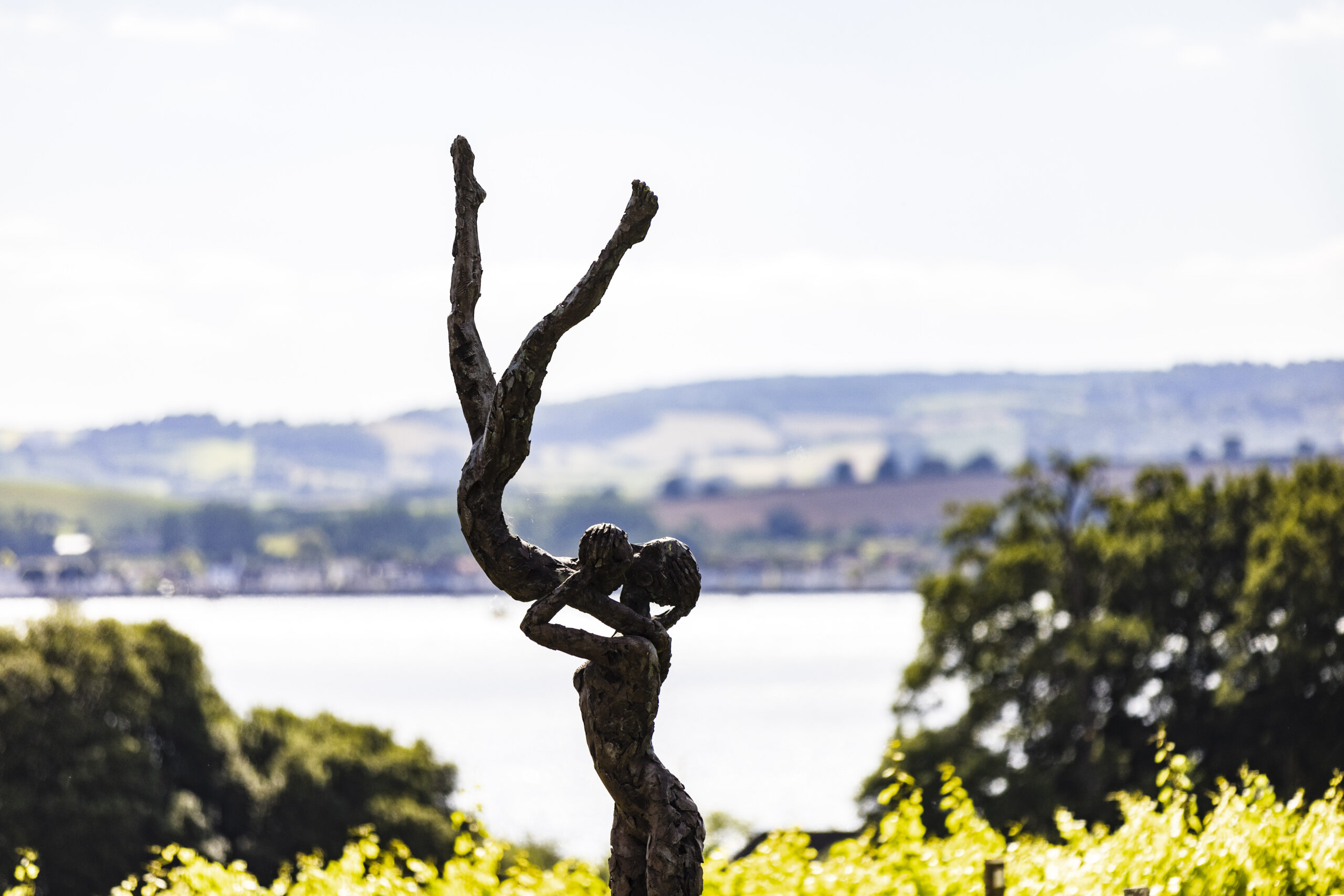 A Carol Peace sculpture in front on the Lympstone Manor Estate vineyard with Exe estuary in the background