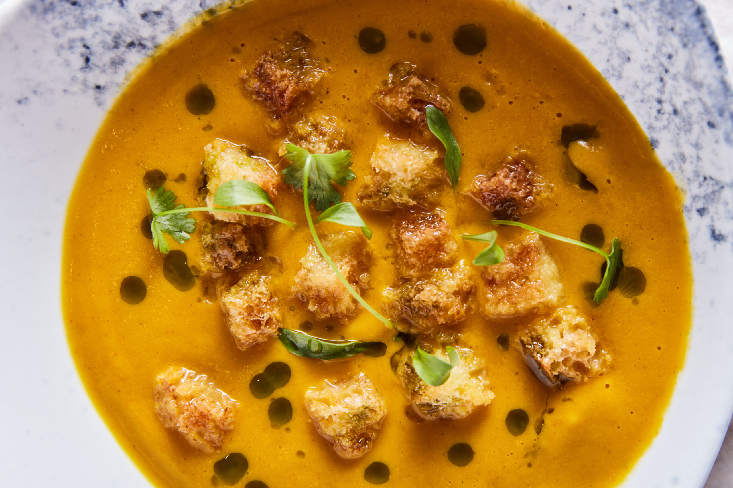 Soup from the kids menu