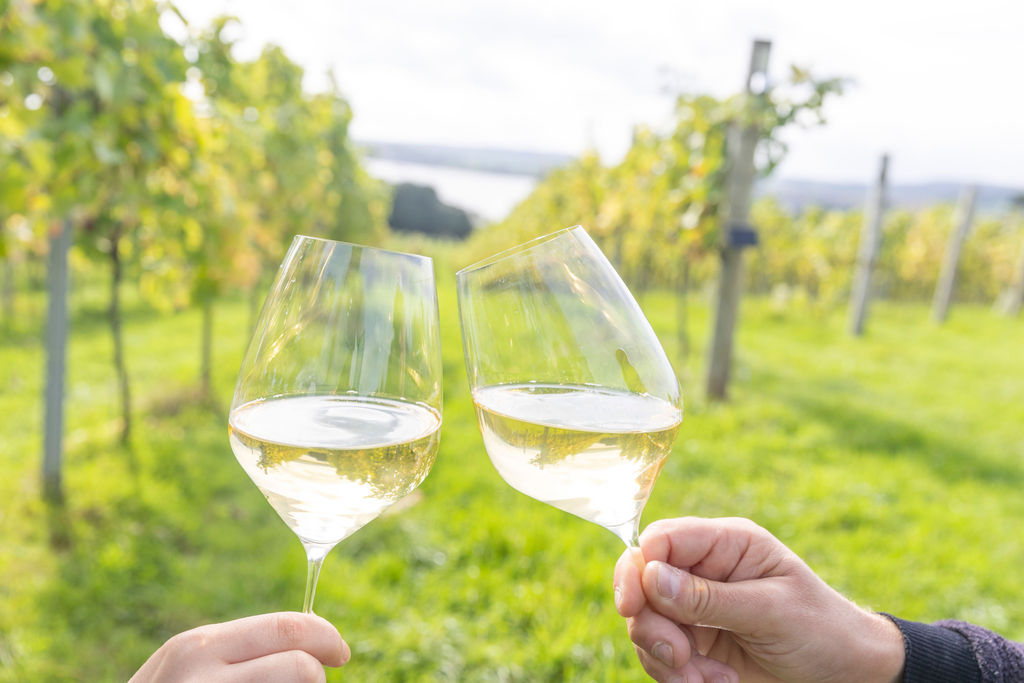 Lympstone Manor Classic Cuvee in glasses in the vineyard
